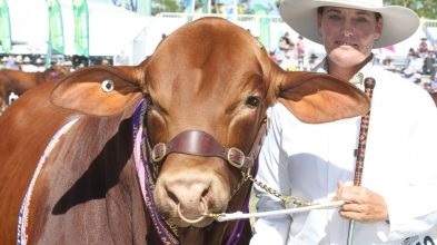 2021澳大利亞牛肉產業及肉類加工展覽會舉辦時間Beef Australia(www.69836.cn)