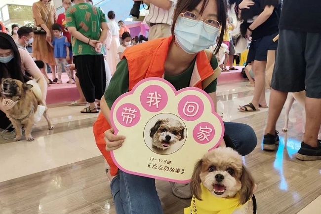 重慶國際寵物展覽會CPAE(www.69836.cn)