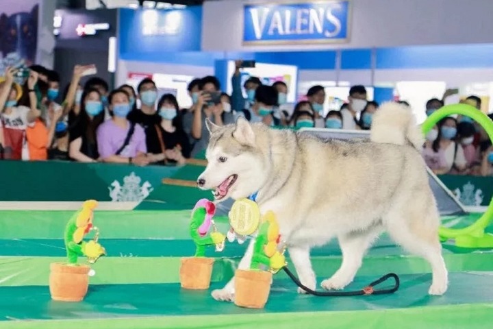 2022第24屆亞洲寵物展覽會暫緩舉辦(www.69836.cn)