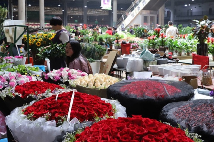2023廣州花卉展將于5月10日舉行(www.69836.cn)